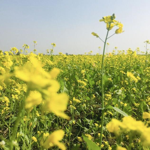 Screenshot 2024-07-22 at 10.59.36 AM